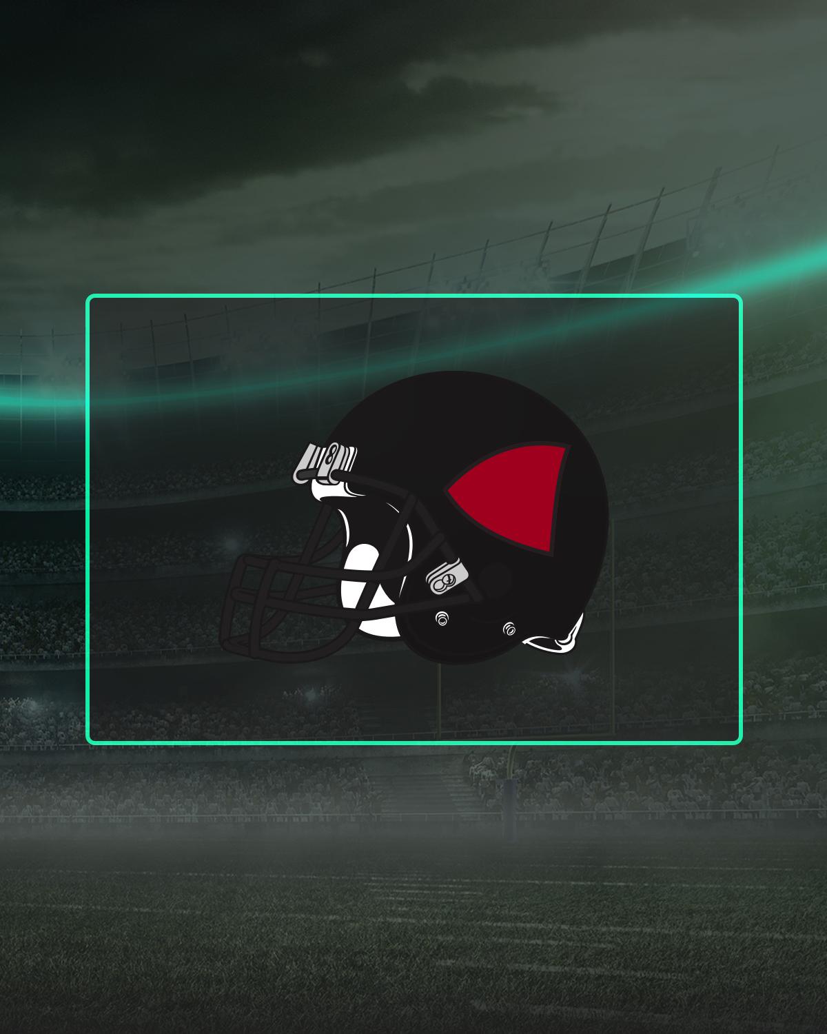 Cardinals Imagery