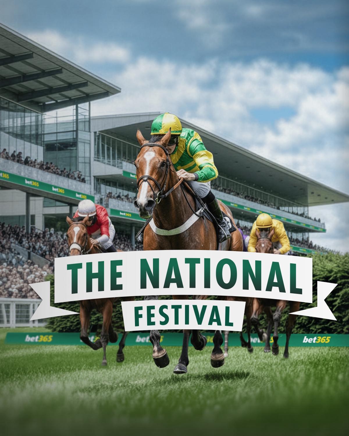 Grand National Generic Hub Image