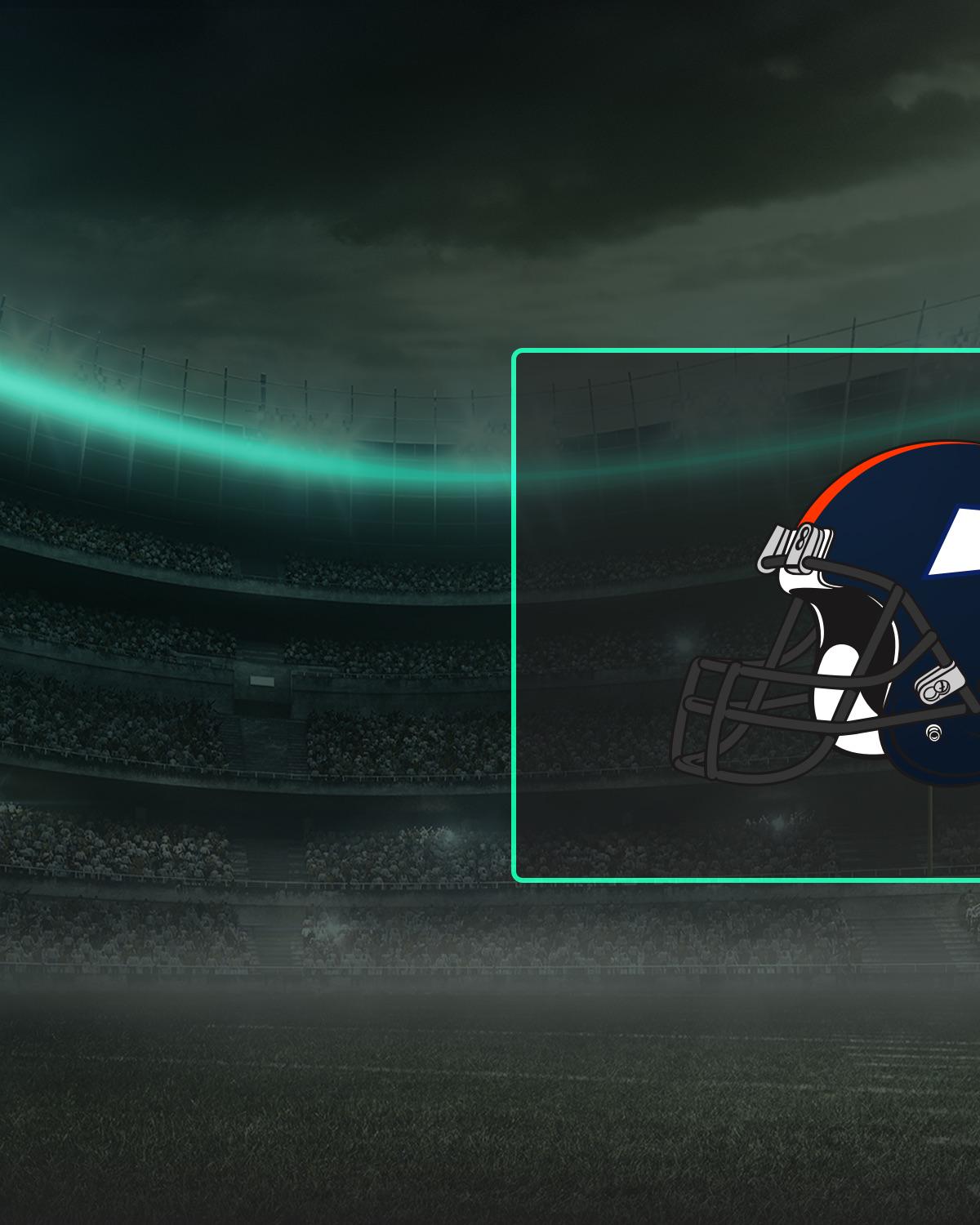Denver Broncos Image