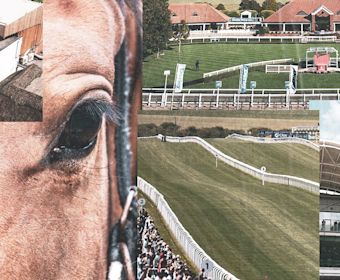 Triple Crown Imagery