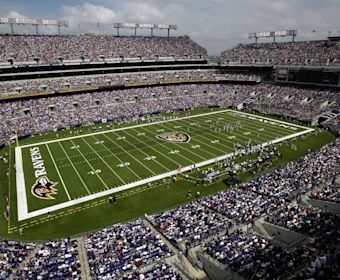 Ravens Imagery2