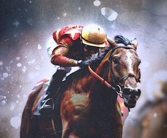 Cheltenham Guide Imagery