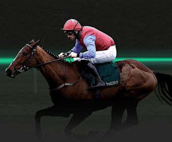 Melbourne Cup Imagery